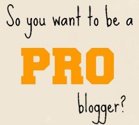 how to become a pro blogger