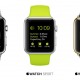 Apple Watch Overview
