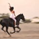 Horseback riding guide